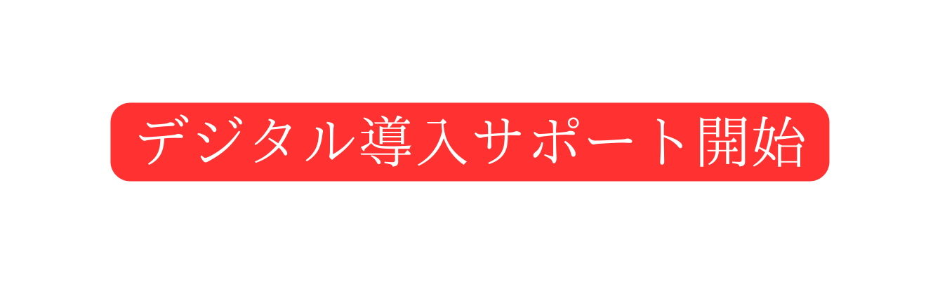 デジタル導入サポート開始