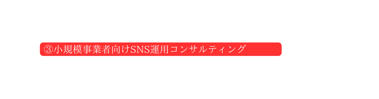 小規模事業者向けSNS運用コンサルティング