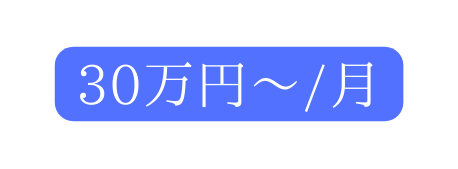 30万円 月